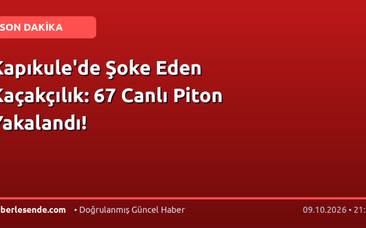 Kapıkule'de Şoke Eden Kaçakçılık: 67 Canlı Piton Yakalandı!