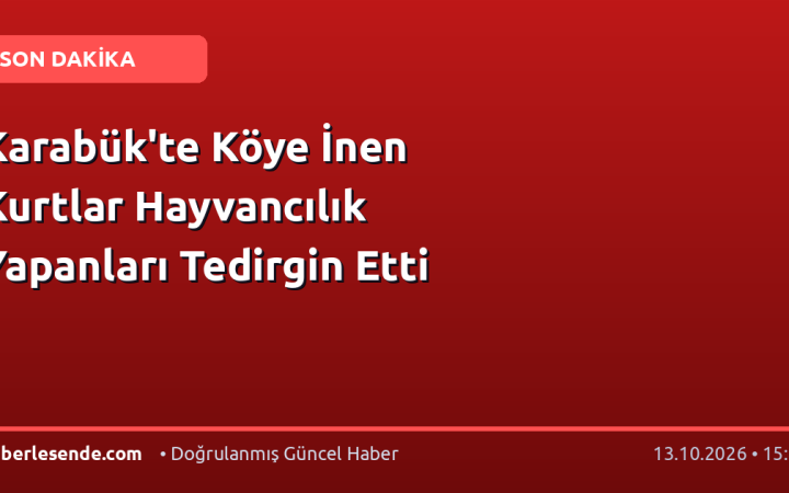 Karabük'te Köye İnen Kurtlar Hayvancılık Yapanları Tedirgin Etti