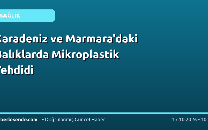 Karadeniz ve Marmara'daki Balıklarda Mikroplastik Tehdidi