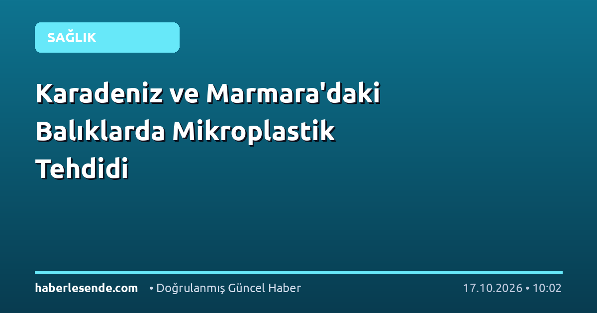 Karadeniz ve Marmara'daki Balıklarda Mikroplastik Tehdidi
