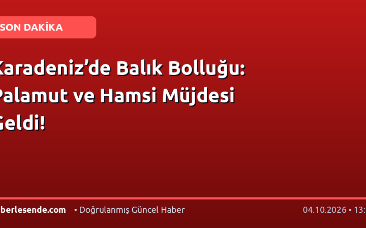 Karadeniz’de Balık Bolluğu: Palamut ve Hamsi Müjdesi Geldi!