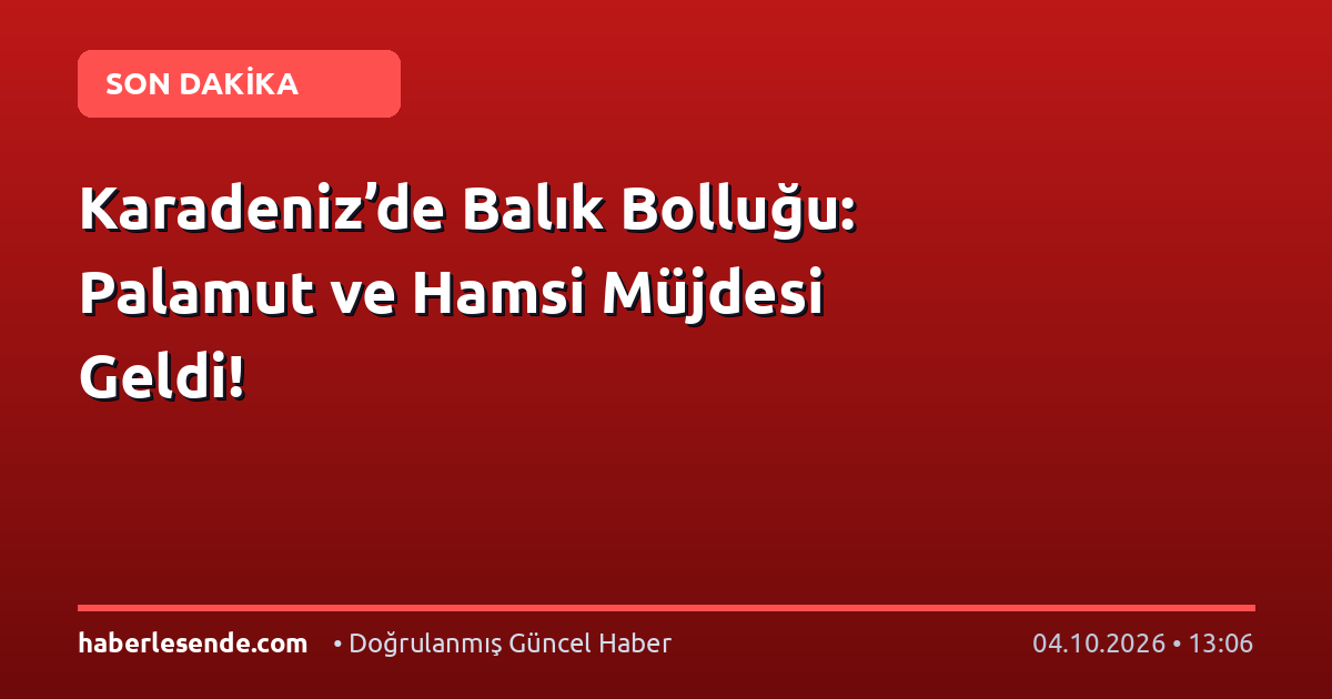 Karadeniz’de Balık Bolluğu: Palamut ve Hamsi Müjdesi Geldi!