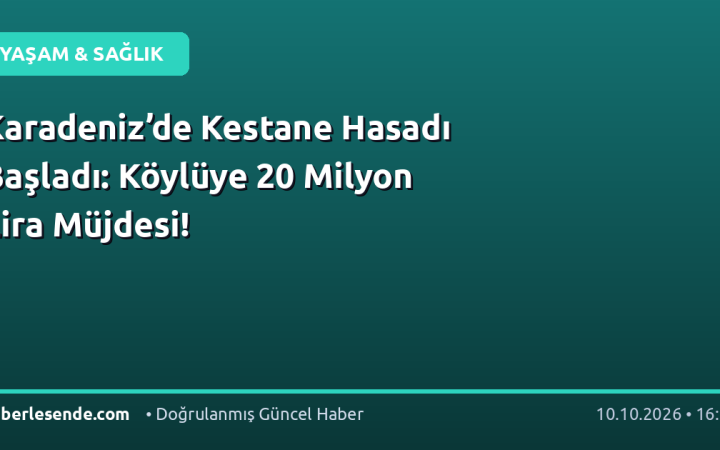 Karadeniz’de Kestane Hasadı Başladı: Köylüye 20 Milyon Lira Müjdesi!