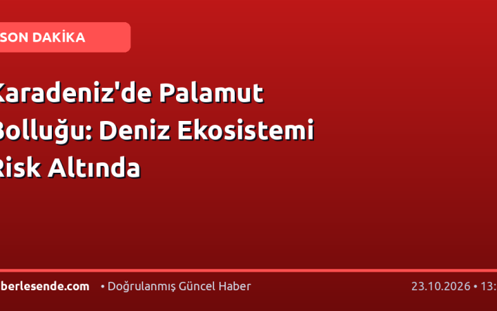 Karadeniz'de Palamut Bolluğu: Deniz Ekosistemi Risk Altında