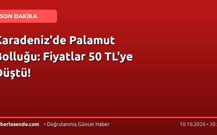 Karadeniz'de Palamut Bolluğu: Fiyatlar 50 TL'ye Düştü!