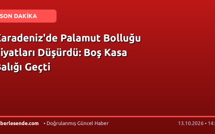 Karadeniz'de Palamut Bolluğu Fiyatları Düşürdü: Boş Kasa Balığı Geçti