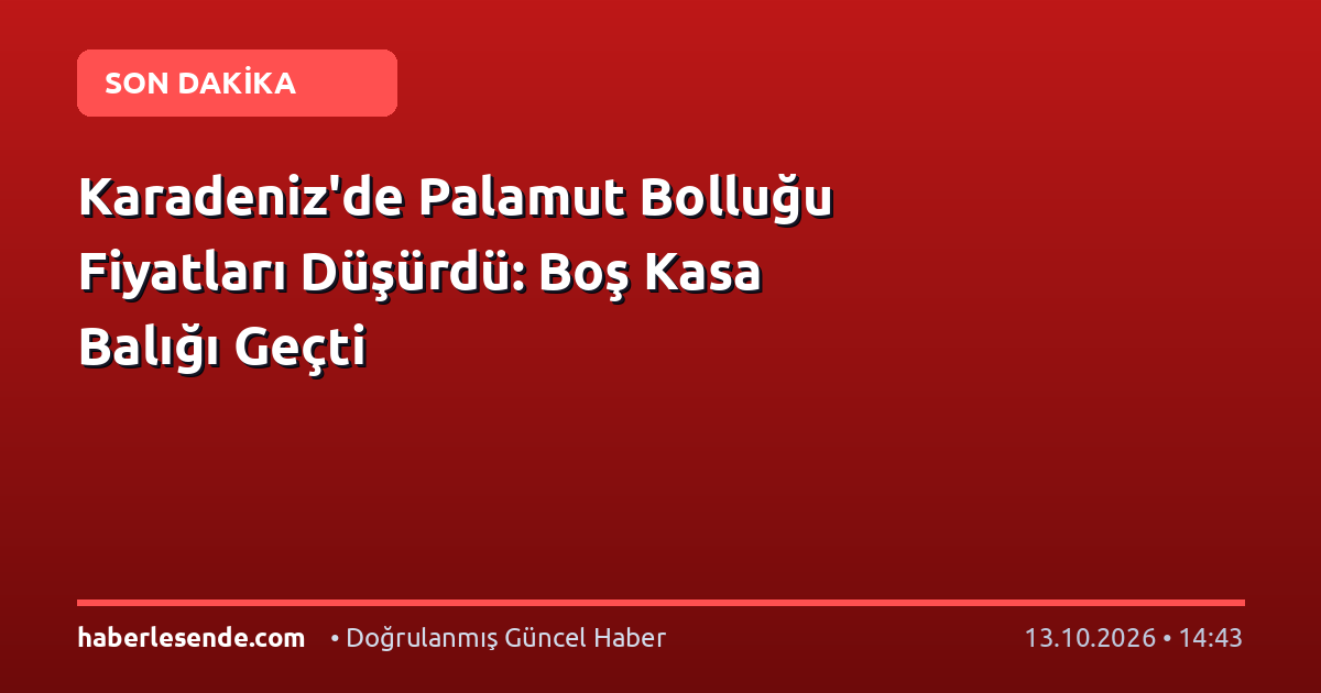 Karadeniz'de Palamut Bolluğu Fiyatları Düşürdü: Boş Kasa Balığı Geçti