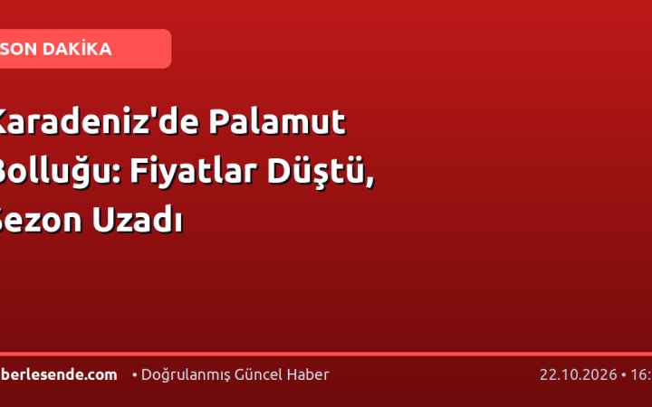 Karadeniz'de Palamut Bolluğu: Fiyatlar Düştü, Sezon Uzadı