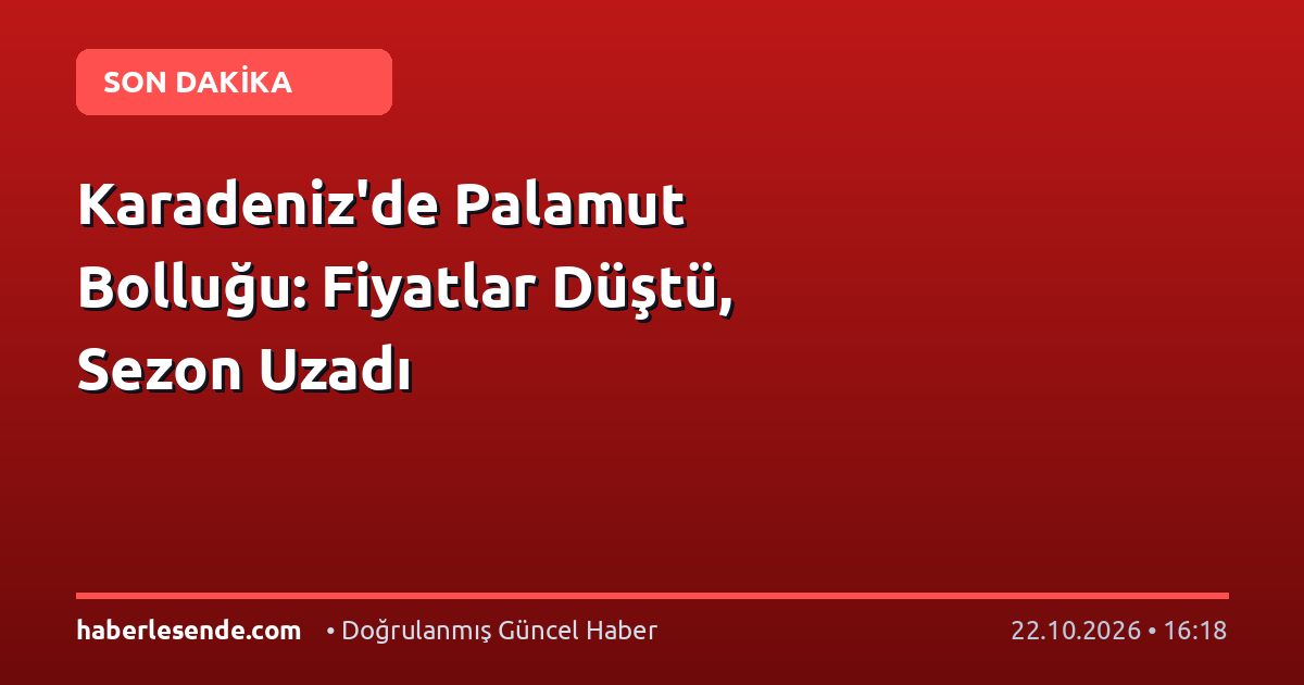 Karadeniz'de Palamut Bolluğu: Fiyatlar Düştü, Sezon Uzadı