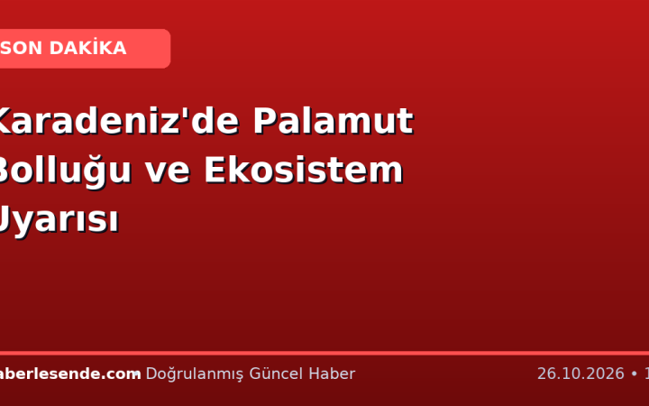 Karadeniz'de Palamut Bolluğu ve Ekosistem Uyarısı