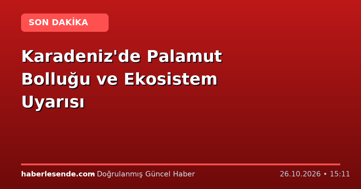 Karadeniz'de Palamut Bolluğu ve Ekosistem Uyarısı