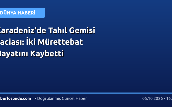 Karadeniz'de Tahıl Gemisi Faciası: İki Mürettebat Hayatını Kaybetti