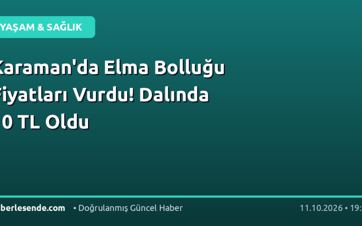Karaman'da Elma Bolluğu Fiyatları Vurdu! Dalında 10 TL Oldu