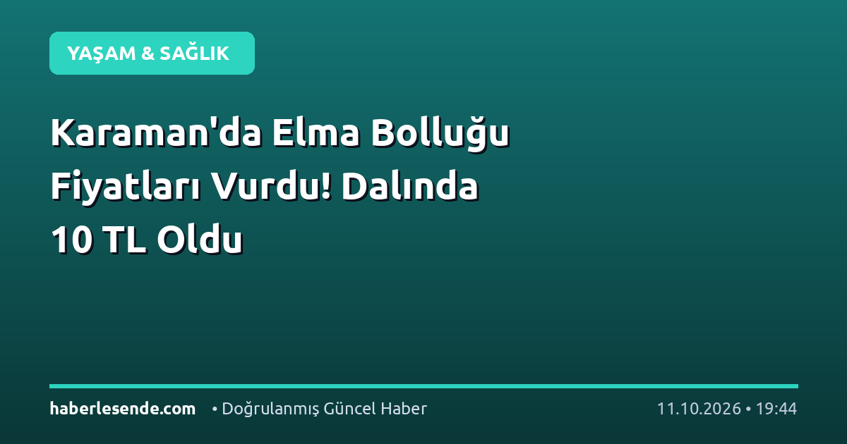 Karaman'da Elma Bolluğu Fiyatları Vurdu! Dalında 10 TL Oldu