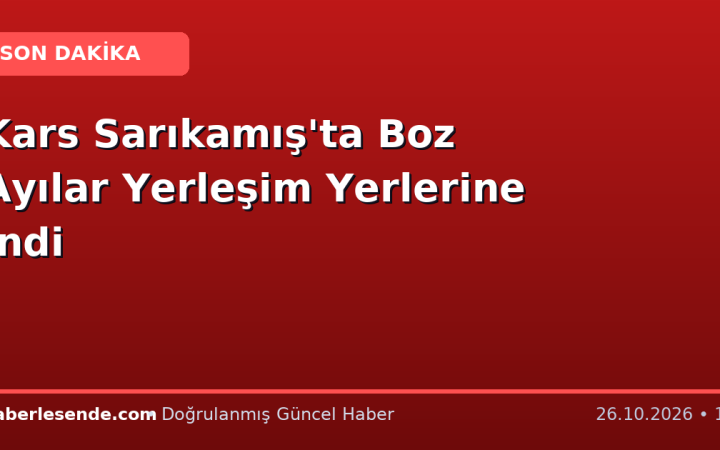 Kars Sarıkamış'ta Boz Ayılar Yerleşim Yerlerine İndi