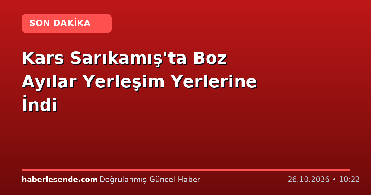 Kars Sarıkamış'ta Boz Ayılar Yerleşim Yerlerine İndi
