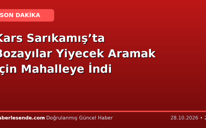 Kars Sarıkamış’ta Bozayılar Yiyecek Aramak İçin Mahalleye İndi