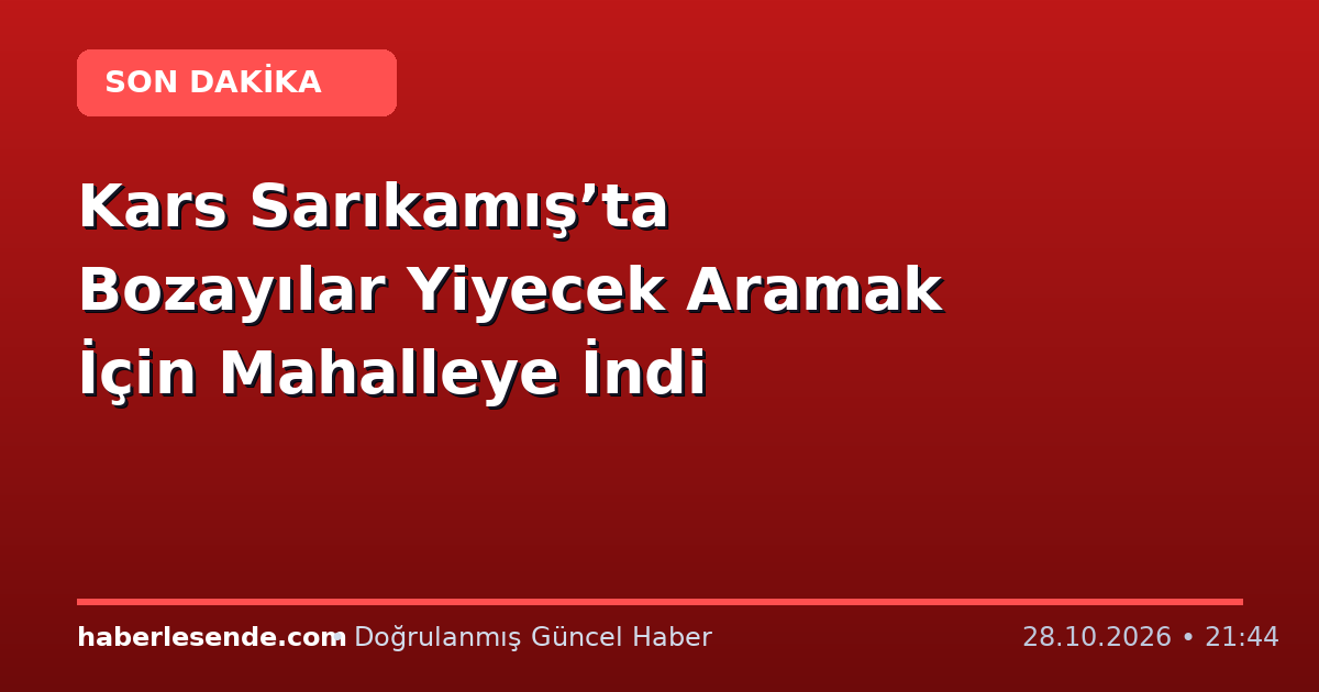 Kars Sarıkamış’ta Bozayılar Yiyecek Aramak İçin Mahalleye İndi