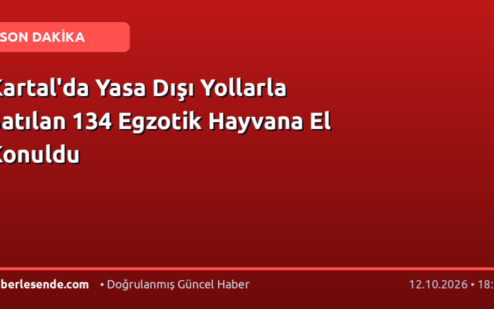 Kartal'da Yasa Dışı Yollarla Satılan 134 Egzotik Hayvana El Konuldu