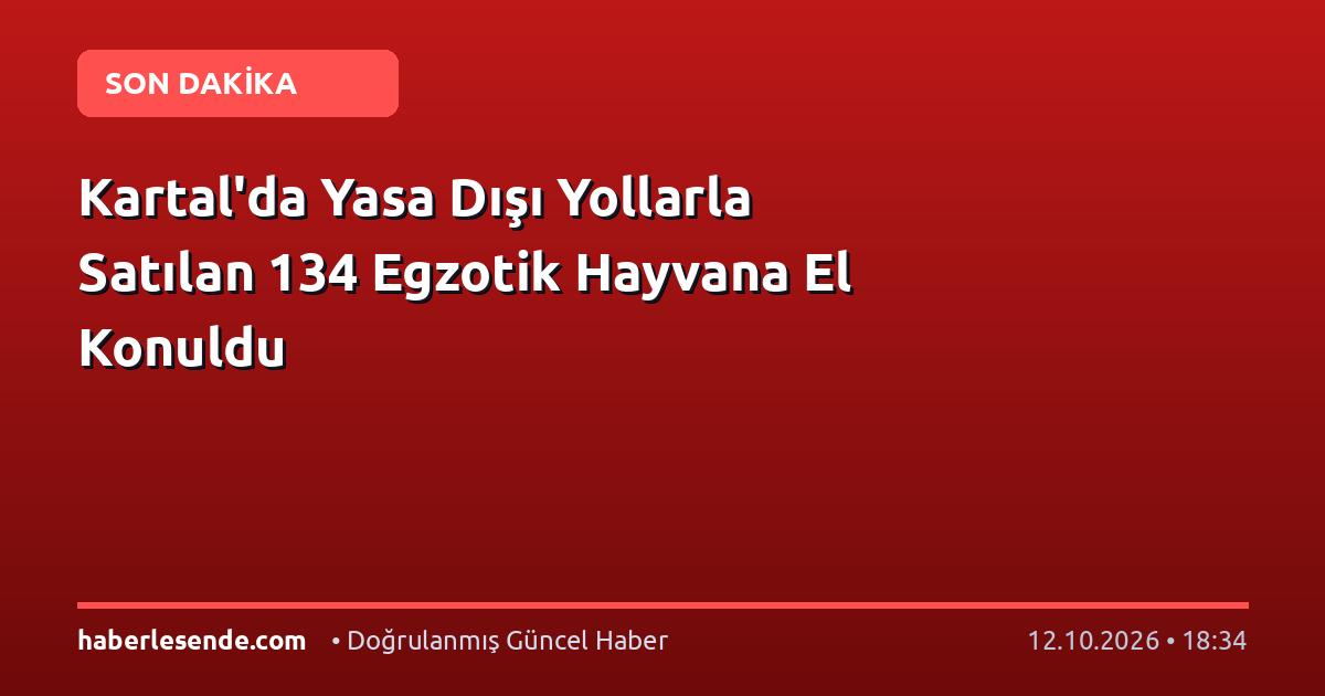 Kartal'da Yasa Dışı Yollarla Satılan 134 Egzotik Hayvana El Konuldu