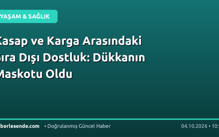 Kasap ve Karga Arasındaki Sıra Dışı Dostluk: Dükkanın Maskotu Oldu