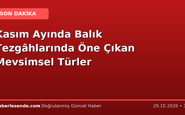 Kasım Ayında Balık Tezgâhlarında Öne Çıkan Mevsimsel Türler