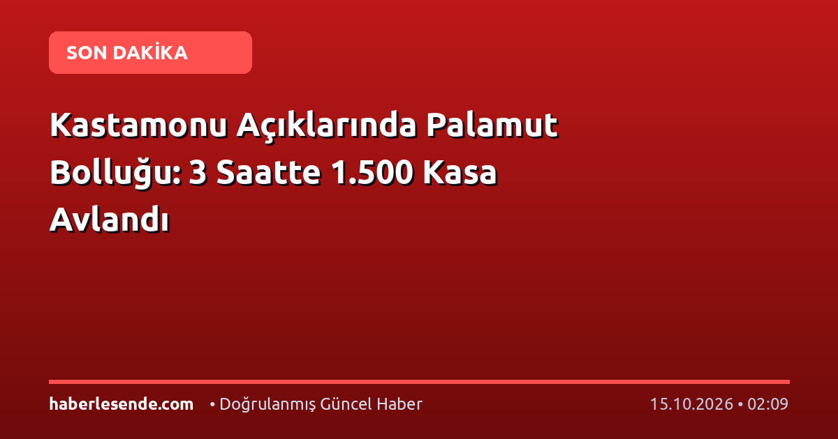 Kastamonu Açıklarında Palamut Bolluğu: 3 Saatte 1.500 Kasa Avlandı