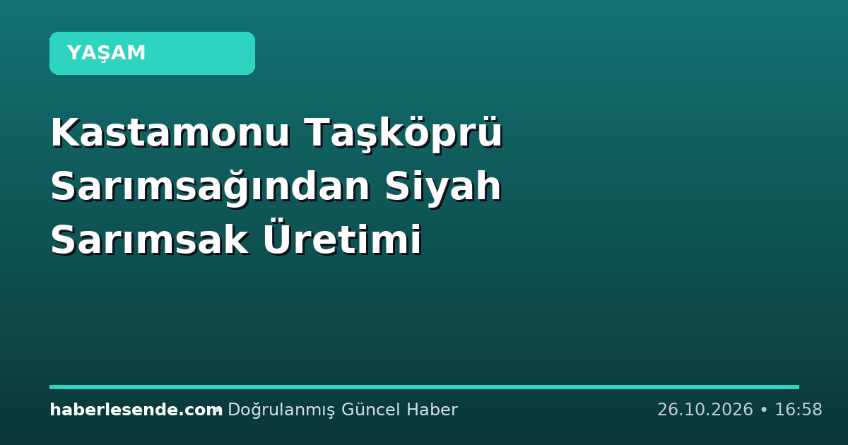 Kastamonu Taşköprü Sarımsağından Siyah Sarımsak Üretimi