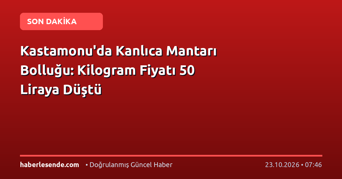 Kastamonu'da Kanlıca Mantarı Bolluğu: Kilogram Fiyatı 50 Liraya Düştü