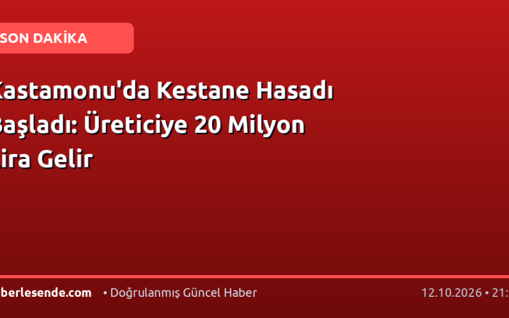 Kastamonu'da Kestane Hasadı Başladı: Üreticiye 20 Milyon Lira Gelir