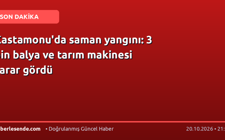 Kastamonu'da saman yangını: 3 bin balya ve tarım makinesi zarar gördü