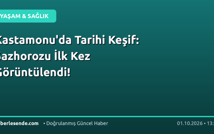Kastamonu'da Tarihi Keşif: Sazhorozu İlk Kez Görüntülendi!
