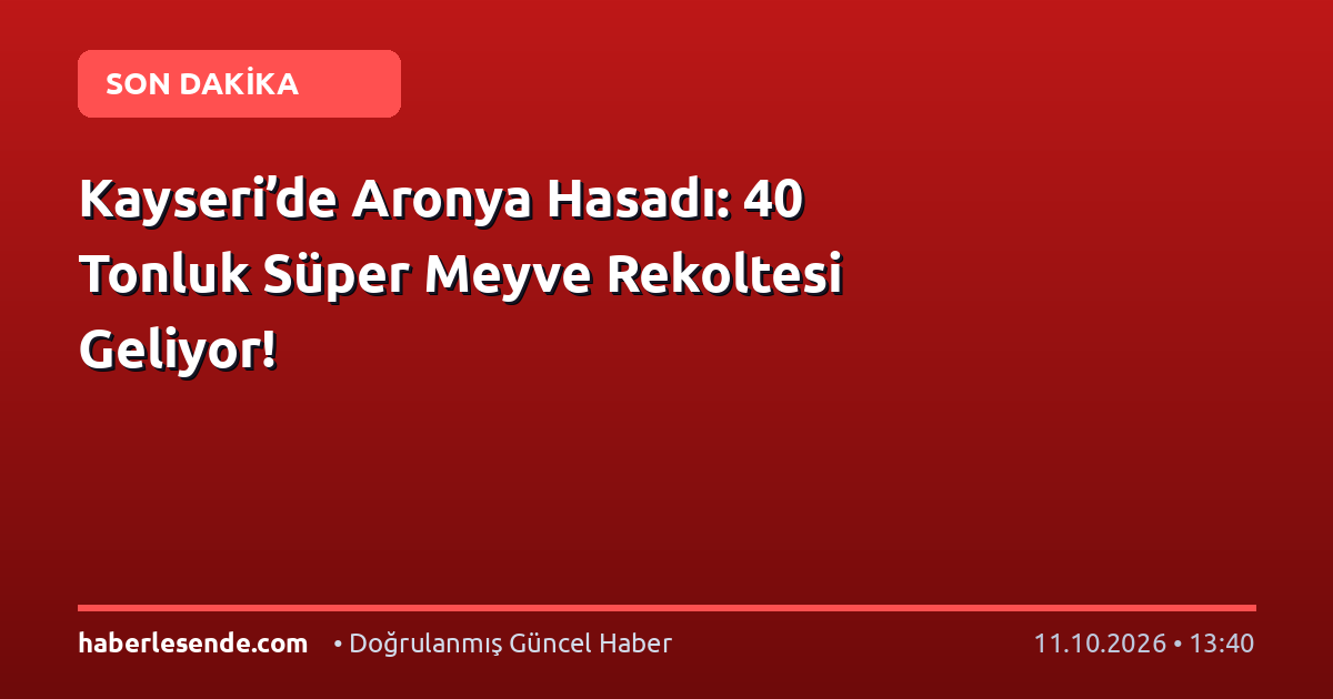Kayseri’de Aronya Hasadı: 40 Tonluk Süper Meyve Rekoltesi Geliyor!