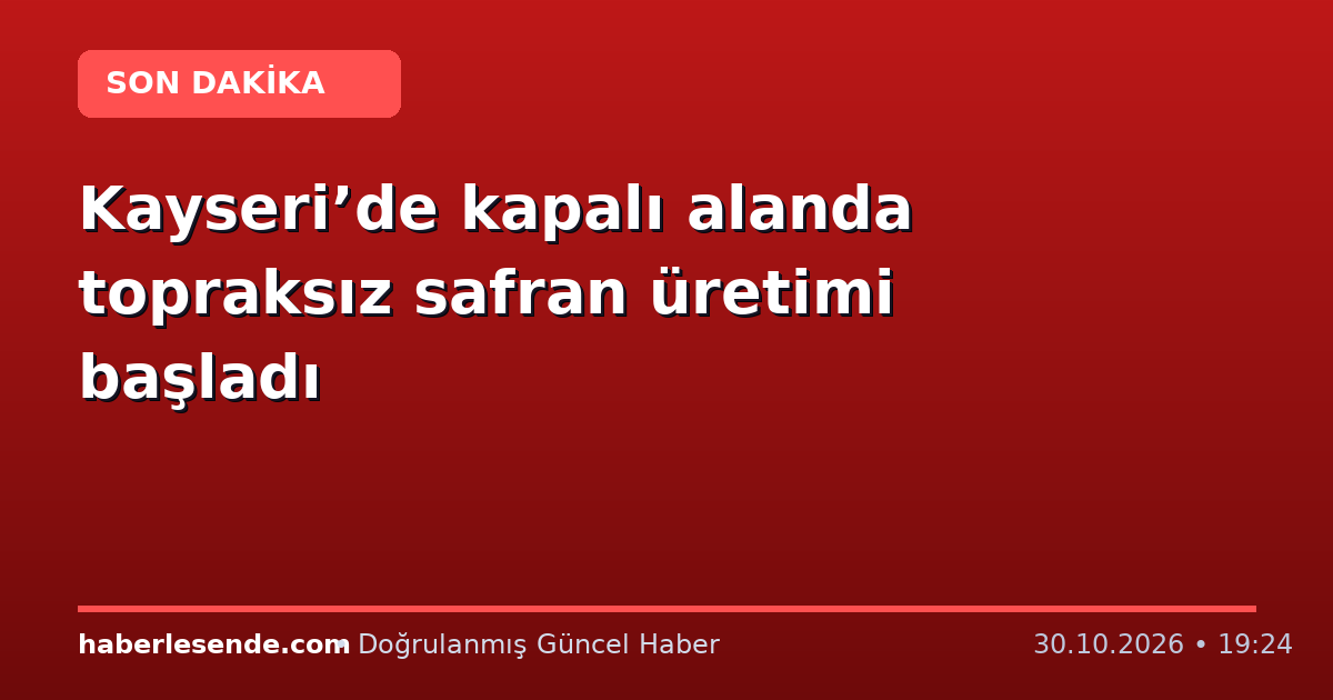 Kayseri’de kapalı alanda topraksız safran üretimi başladı