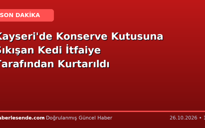 Kayseri'de Konserve Kutusuna Sıkışan Kedi İtfaiye Tarafından Kurtarıldı