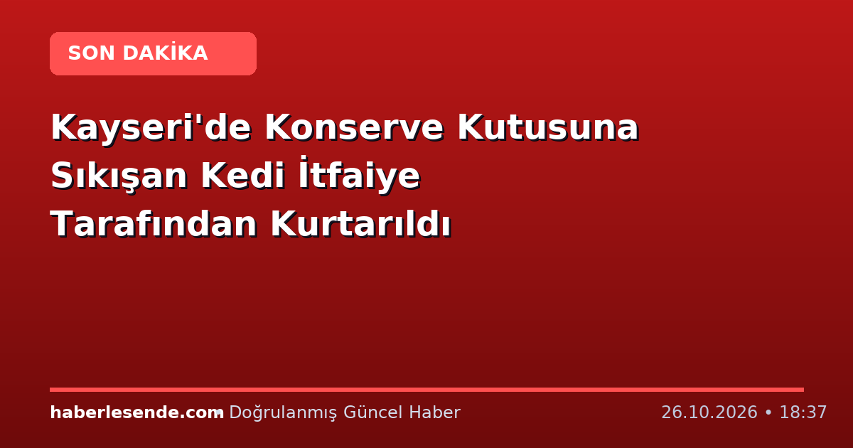 Kayseri'de Konserve Kutusuna Sıkışan Kedi İtfaiye Tarafından Kurtarıldı