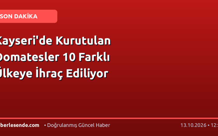 Kayseri'de Kurutulan Domatesler 10 Farklı Ülkeye İhraç Ediliyor