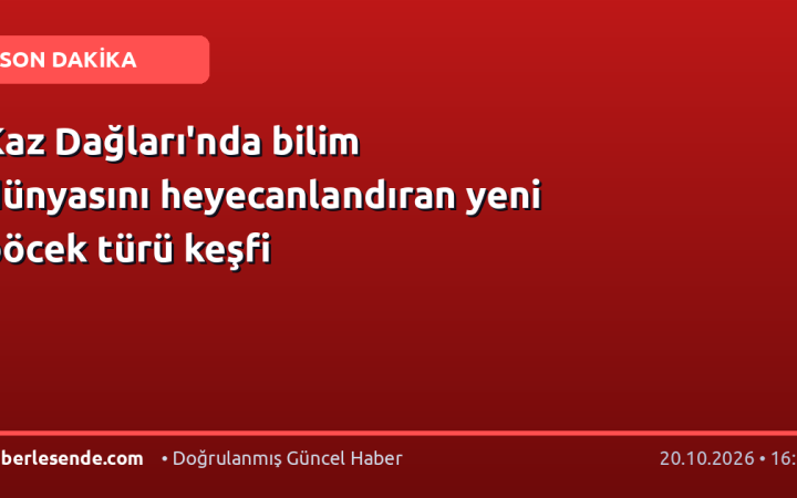Kaz Dağları'nda bilim dünyasını heyecanlandıran yeni böcek türü keşfi