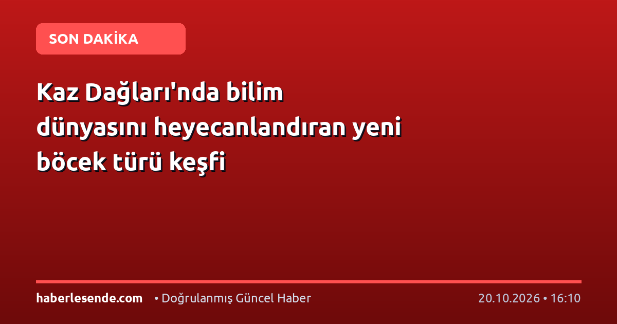 Kaz Dağları'nda bilim dünyasını heyecanlandıran yeni böcek türü keşfi