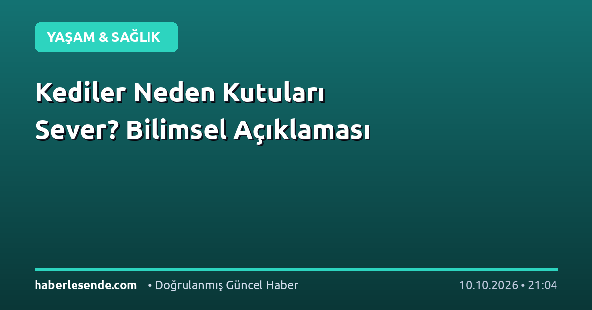 Kediler Neden Kutuları Sever? Bilimsel Açıklaması