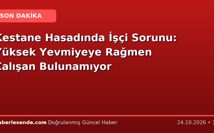Kestane Hasadında İşçi Sorunu: Yüksek Yevmiyeye Rağmen Çalışan Bulunamıyor