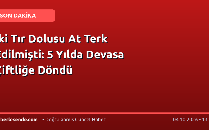 İki Tır Dolusu At Terk Edilmişti: 5 Yılda Devasa Çiftliğe Döndü