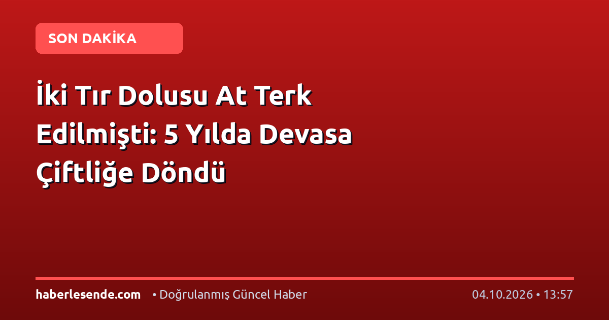 İki Tır Dolusu At Terk Edilmişti: 5 Yılda Devasa Çiftliğe Döndü