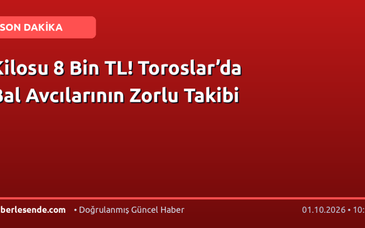 Kilosu 8 Bin TL! Toroslar’da Bal Avcılarının Zorlu Takibi