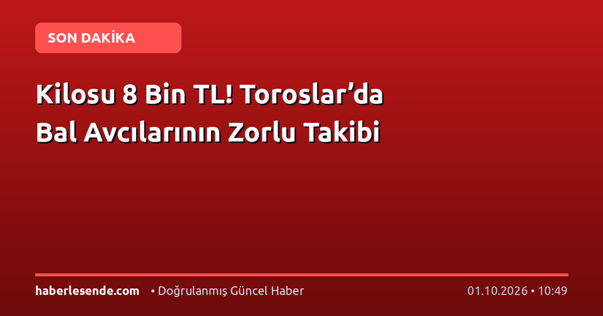 Kilosu 8 Bin TL! Toroslar’da Bal Avcılarının Zorlu Takibi