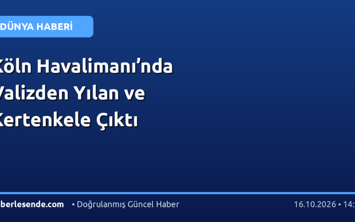 Köln Havalimanı’nda Valizden Yılan ve Kertenkele Çıktı