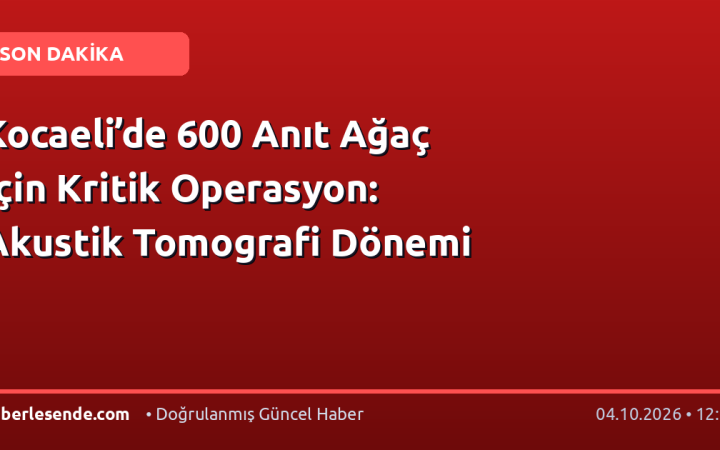 Kocaeli’de 600 Anıt Ağaç İçin Kritik Operasyon: Akustik Tomografi Dönemi