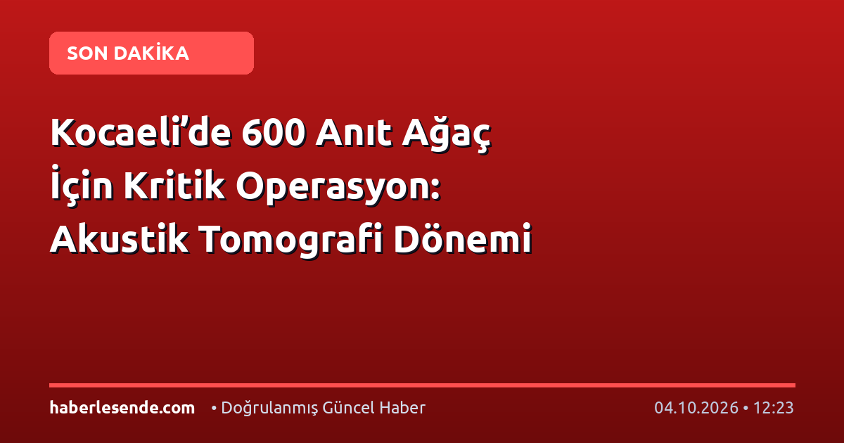 Kocaeli’de 600 Anıt Ağaç İçin Kritik Operasyon: Akustik Tomografi Dönemi