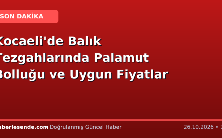 Kocaeli'de Balık Tezgahlarında Palamut Bolluğu ve Uygun Fiyatlar