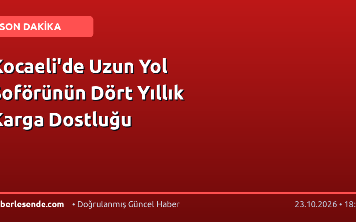 Kocaeli'de Uzun Yol Şoförünün Dört Yıllık Karga Dostluğu